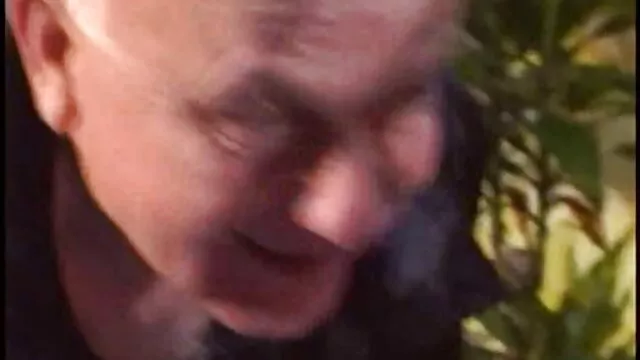 Bedste porno ingen registrering  Fantastisk udvalg af unge dansk retro sex sluts hoppe på en pik