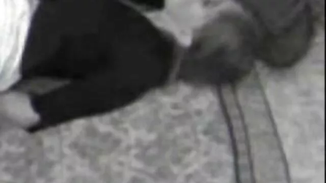 Bedste porno ingen registrering  Russisk Røv satte dansk cam girl pigen i doggy stil og blev varm